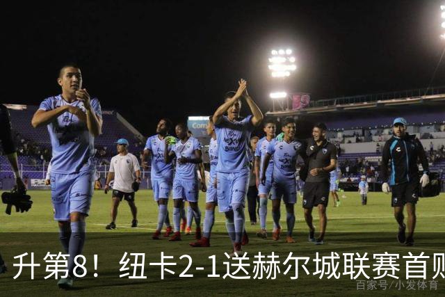 升第8！纽卡2-1送赫尔城联赛首败 巴恩斯2助攻威洛克闪击霍尔破门